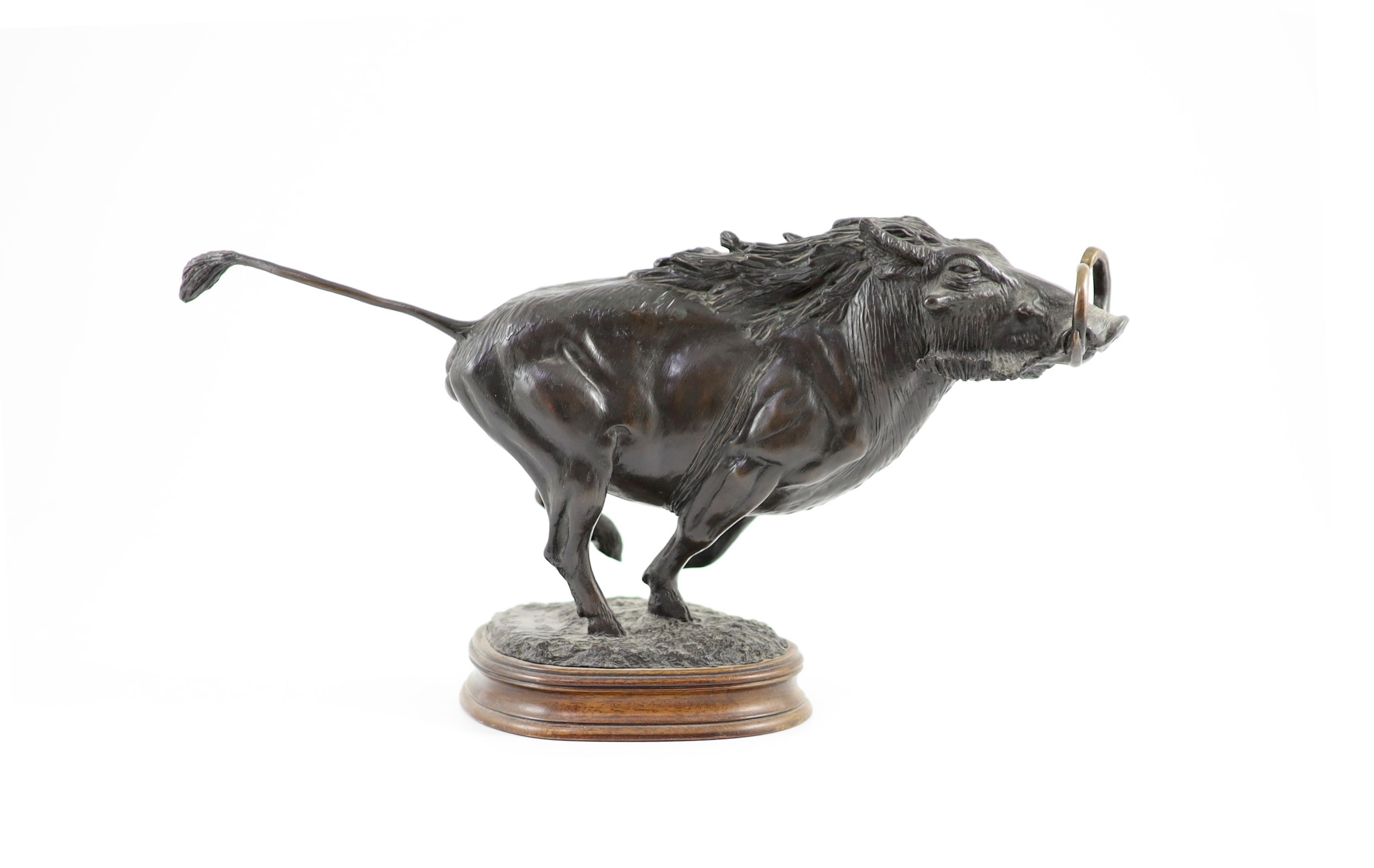 Tim Nicklin. A bronze model of a running warthog length 38cm height 20cm